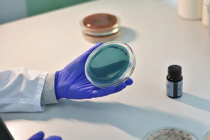 The Price of Rarity: How the Orphan Drug System Fails the Patients It Was Designed to Protect
